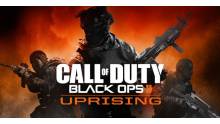 Call of Duty Black Ops II Uprising 10.07.2013.