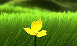 Flower logo vignette 30.05.2013.