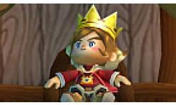 little kings story wii head