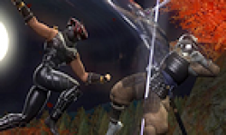 Ninja gaiden sigma plus vignette logo 20.02