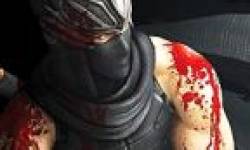 ninja gaiden vita