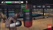 Real Boxing 30.05.2013 (6)