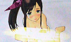 Senran Kagura Shinovi Versus logo vignette 12.12.2012.