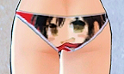 Senran Kagura Shinovi Versus logo vignette 28.03.2013.