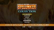 Spelunker Collection  22.04.2013 (5)