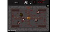 The Blinding of Isaac pc