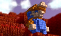 vignette head 3d dot game heroes 30112011
