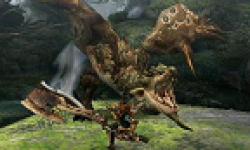 vignette head monster hunter 04012012