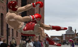 vignette head reality fighters 30102011