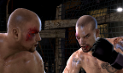 vignette head supermacy mma 12122011