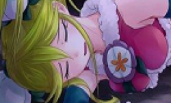Vignette New Little King Story